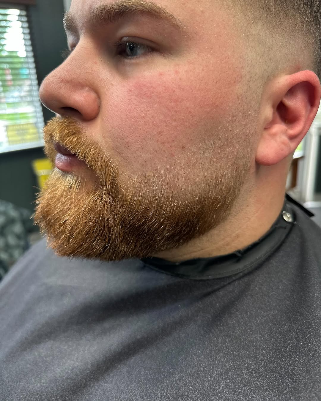 High Fade